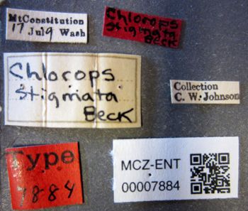 Media type: image;   Entomology 7884 Aspect: labels